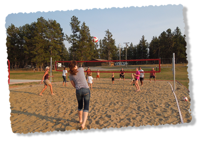 Volleyball court